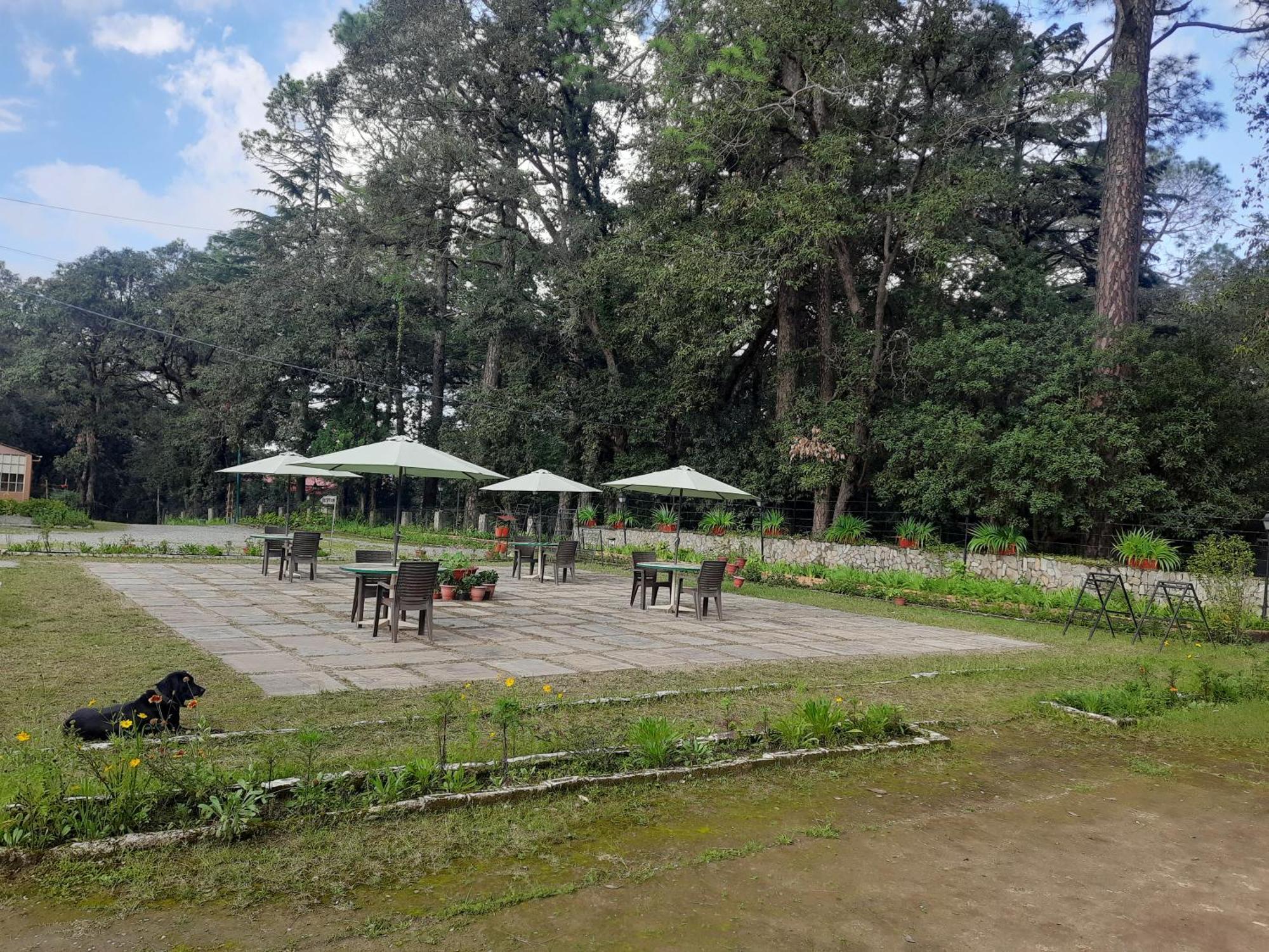 West View Hotel Раникет Екстериор снимка